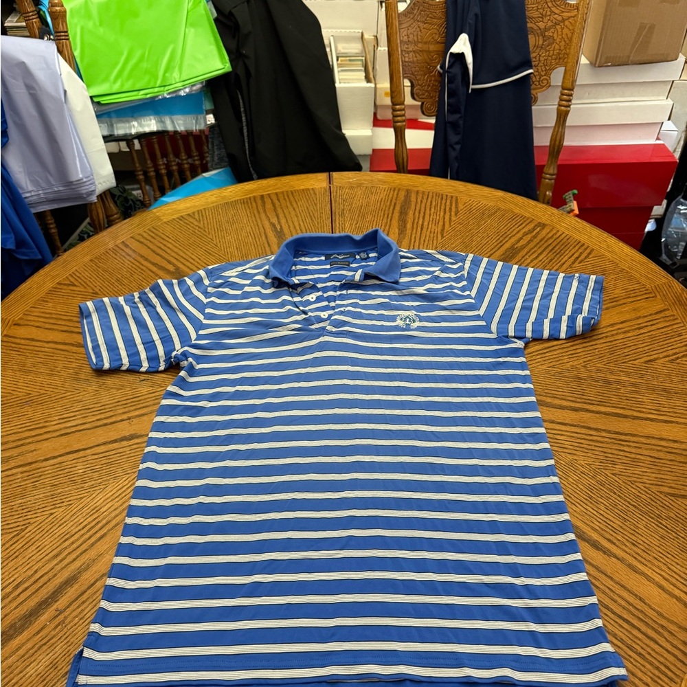 Blue and White Striped Polo Shirt